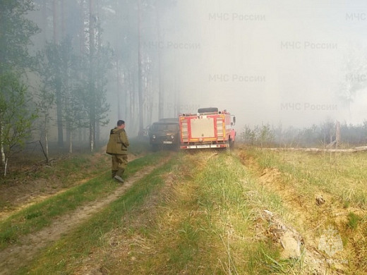  В Ильинском районе обнаружен очаг лесного пожара 